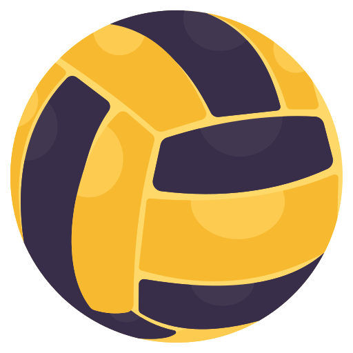 Volleyball icon